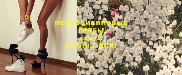 прущие крисы Лихославль