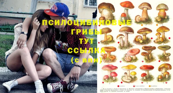 PSILOCYBIN Абинск